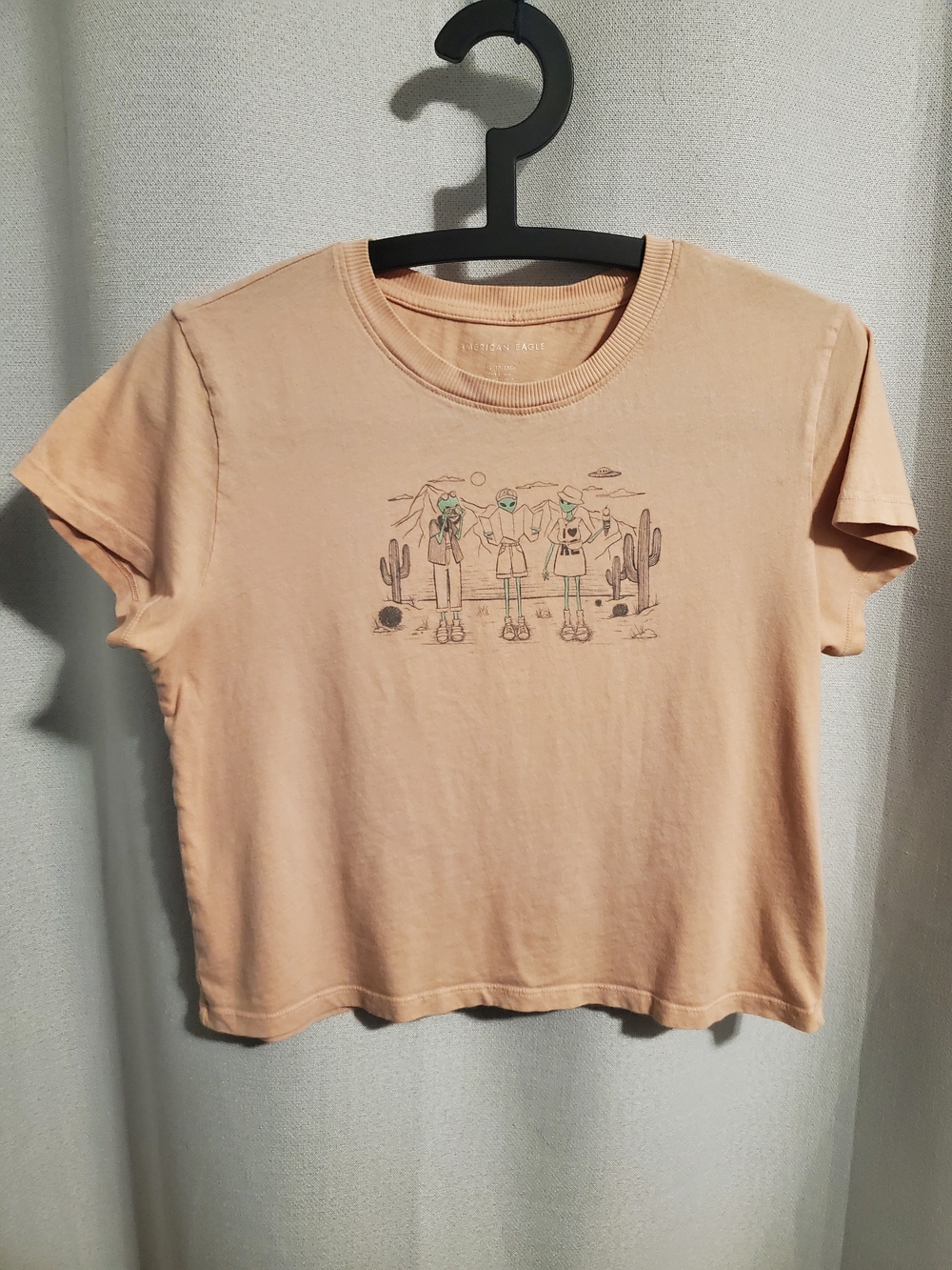 (5/$20) American Eagle Women's Peach Graphic Crop Top